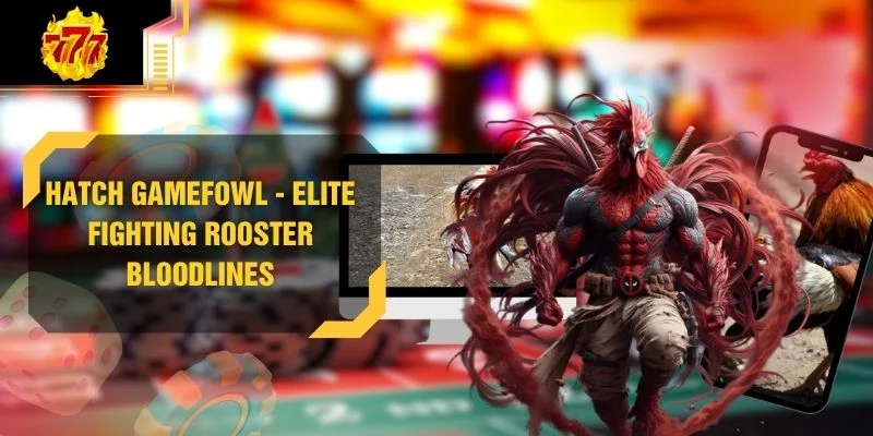 Hatch Gamefowl - Elite Fighting Rooster Bloodlines