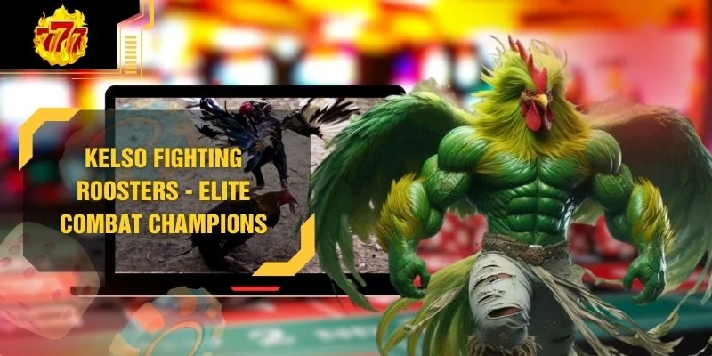 Kelso Fighting Roosters - Elite Combat Champions