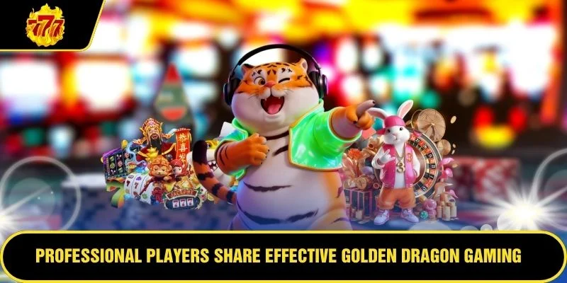 Professional players share effective Golden Dragon gaming approaches