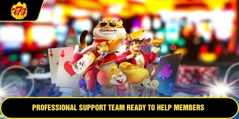 Professional support team ready to help members