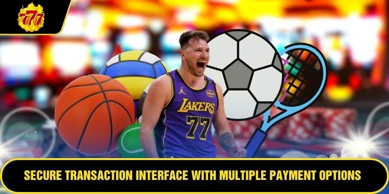 Secure transaction interface with multiple payment options